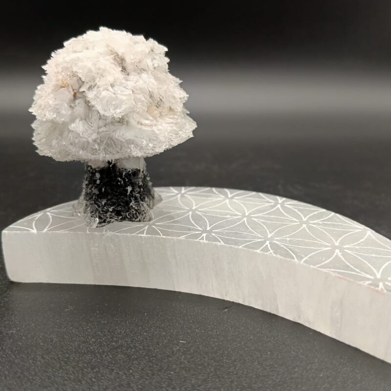 Arbolito de Orgonita Howlita con Tronco de Turmalina (5,5 cm)