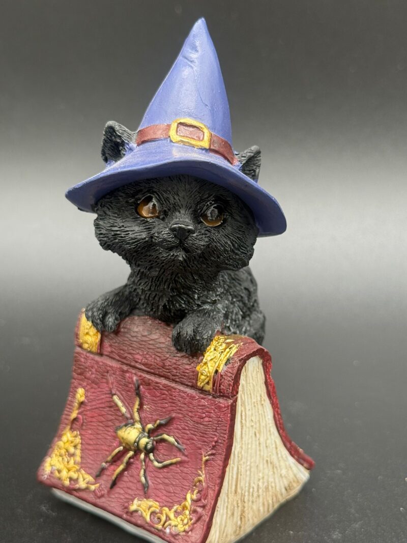 Figura Gato Brujo con Libro - Imagen 2