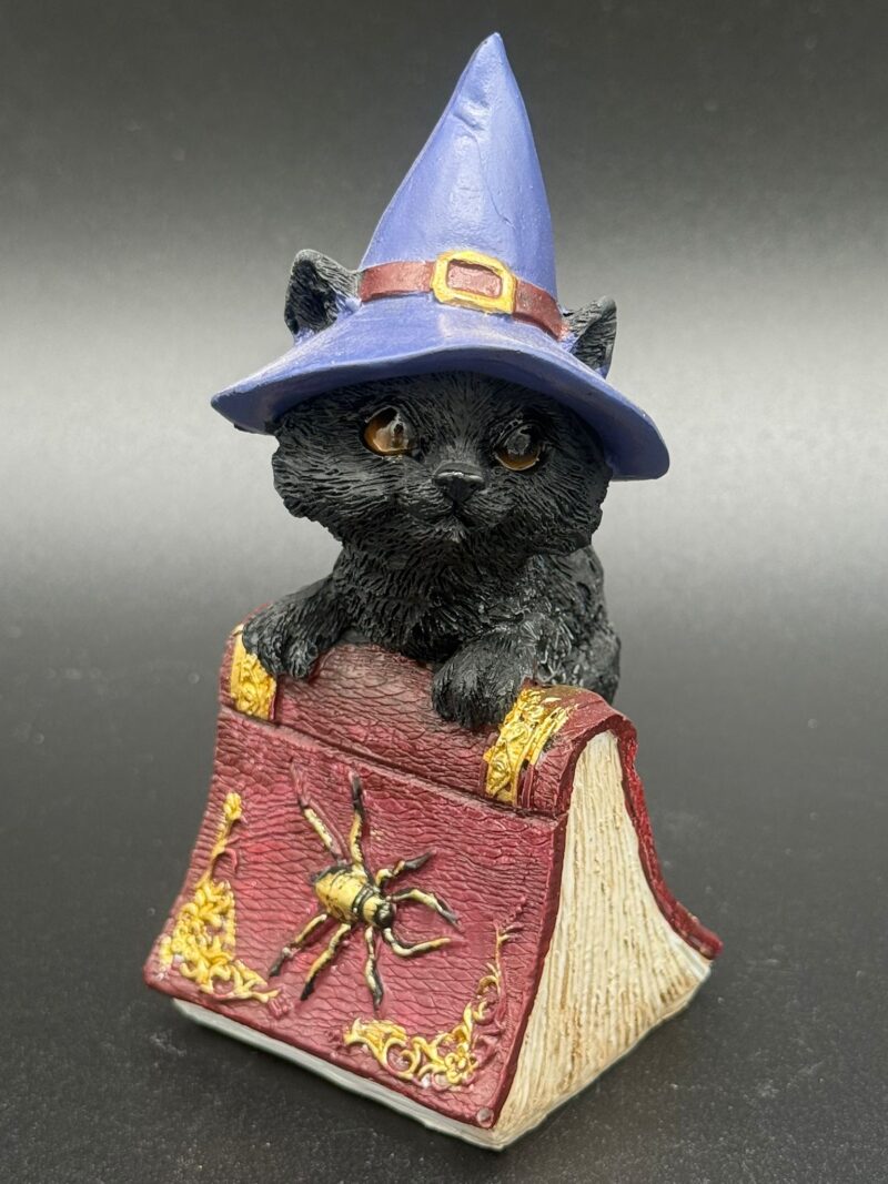 Figura Gato Brujo con Libro