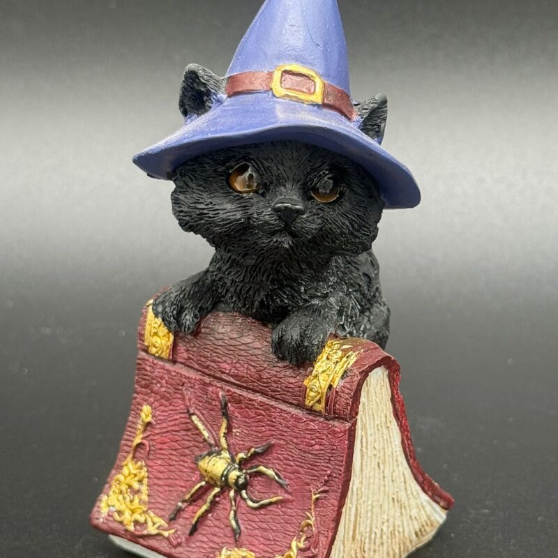 Figura Gato Brujo con Libro