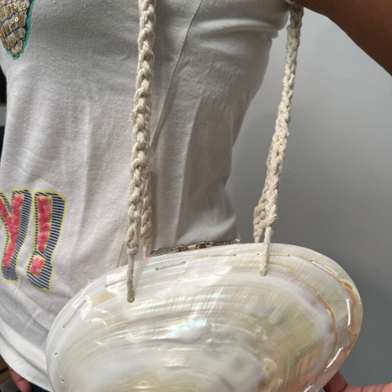 Bolso Concha Nacar 21X13