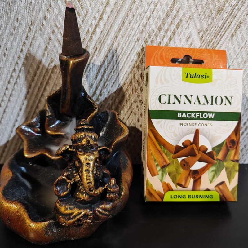 Conos de Reflujo Aroma Canela