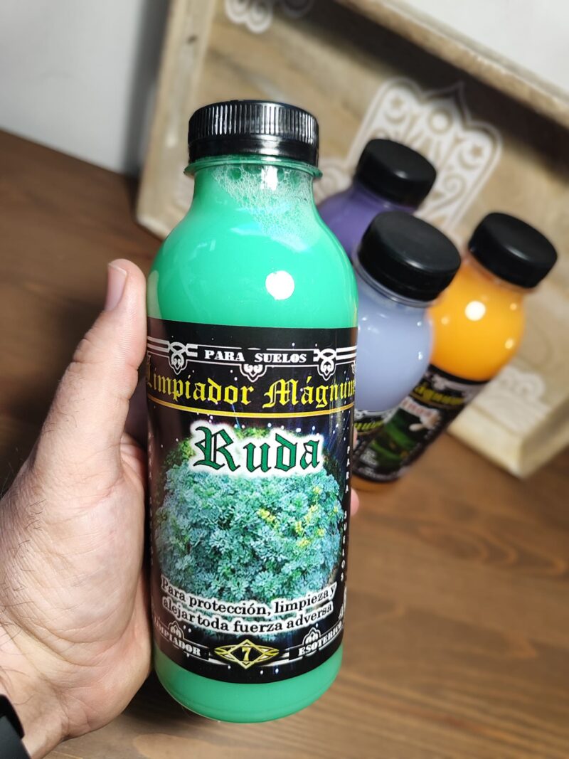Fregasuelos Ruda