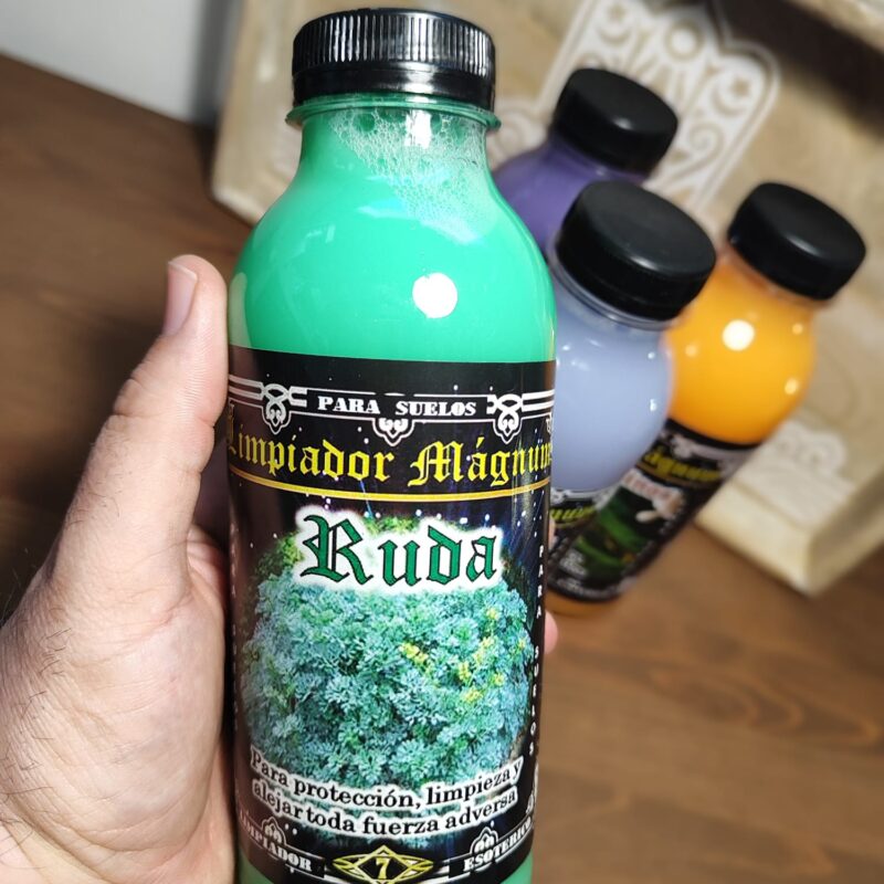 Fregasuelos Ruda