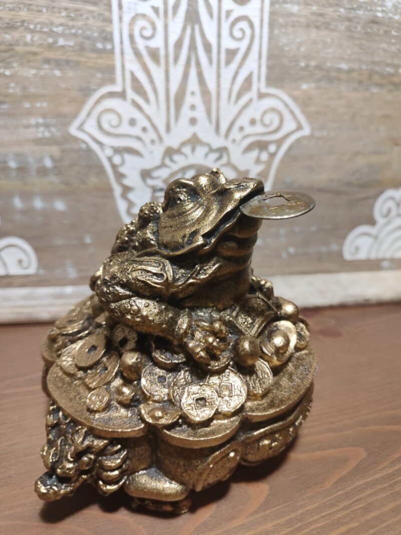 Sapo de la Fortuna Grande