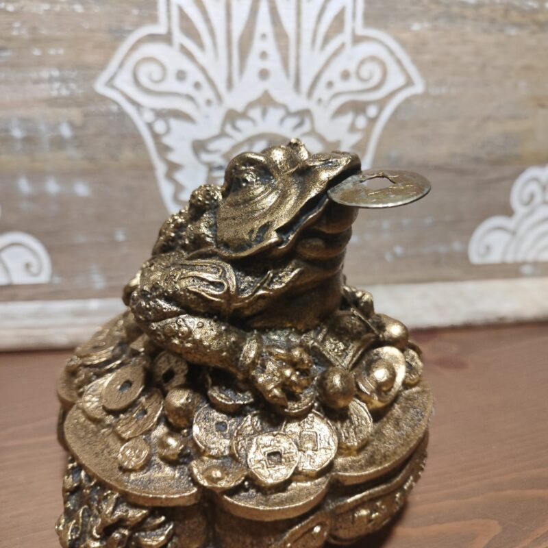 Sapo de la Fortuna Grande