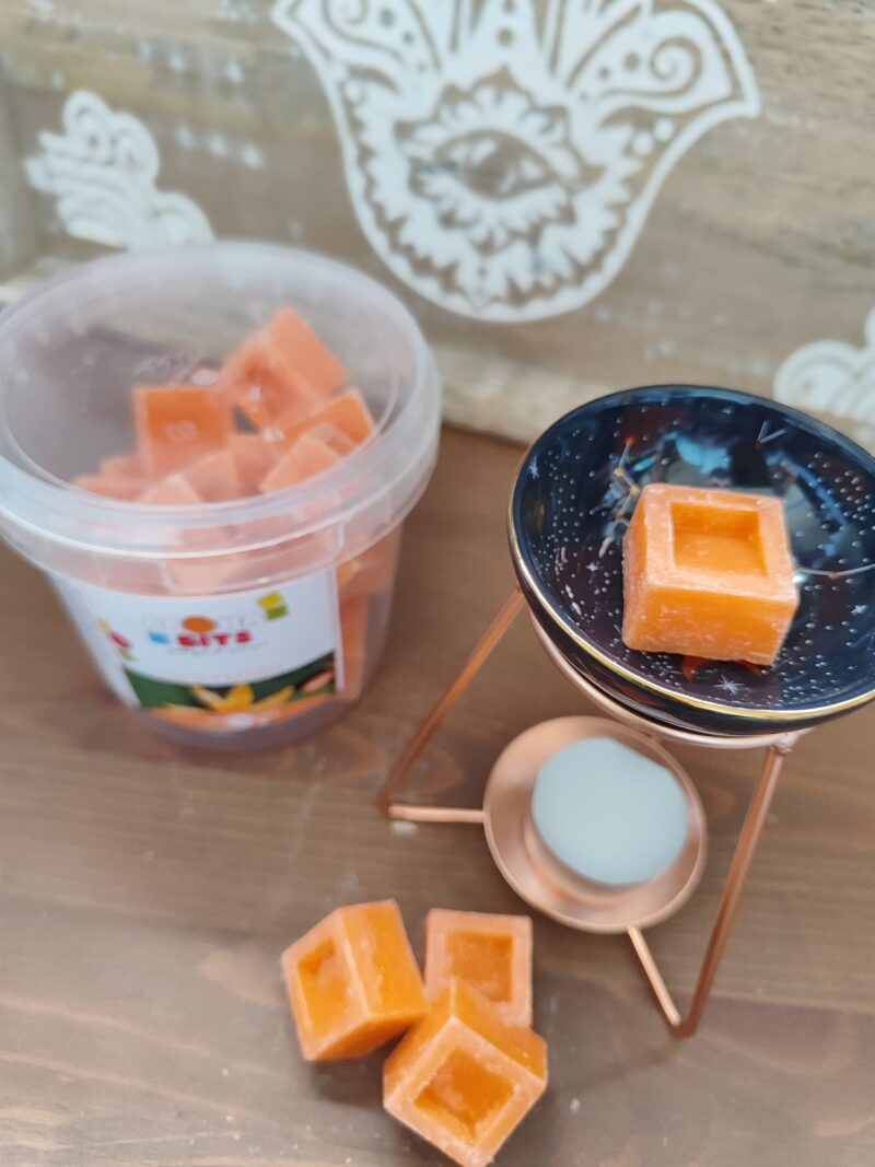 Aromabits Nagchampa Pack de 2 Unidades