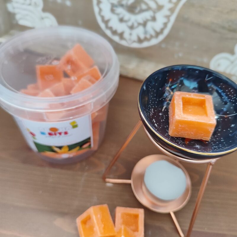 Aromabits Nagchampa Pack de 2 Unidades