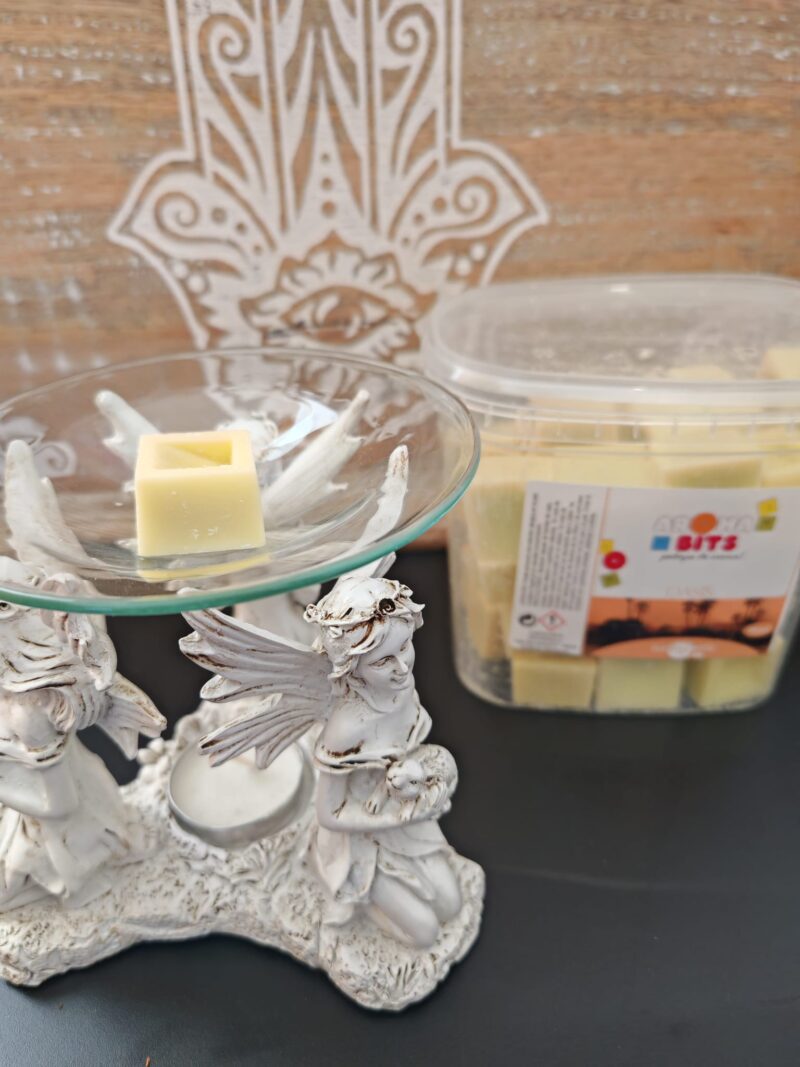 Aromabits Oasis Pack de 2 Unidades
