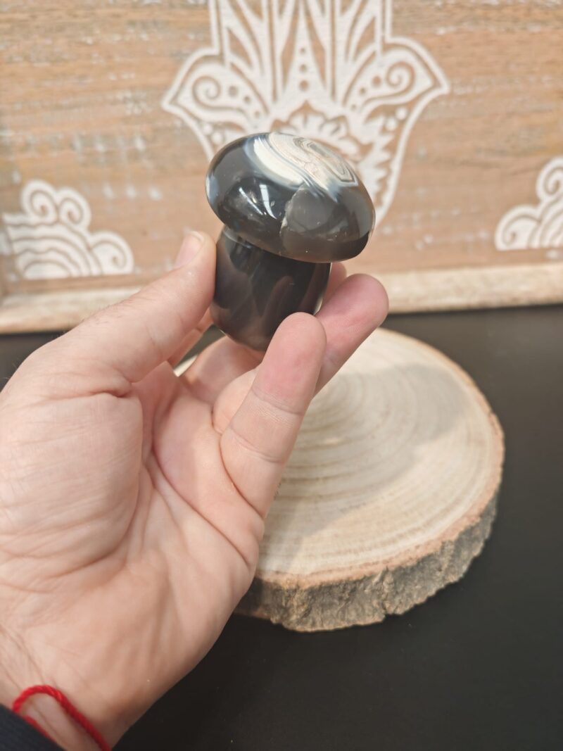 Champiñón de Ágata - Imagen 2