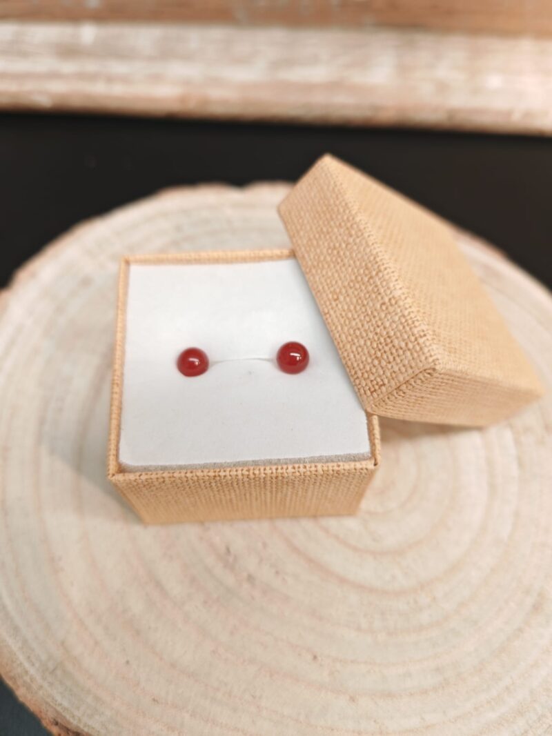 Pendientes Acero Inoxidable con Carneola