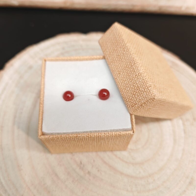 Pendientes Acero Inoxidable con Carneola