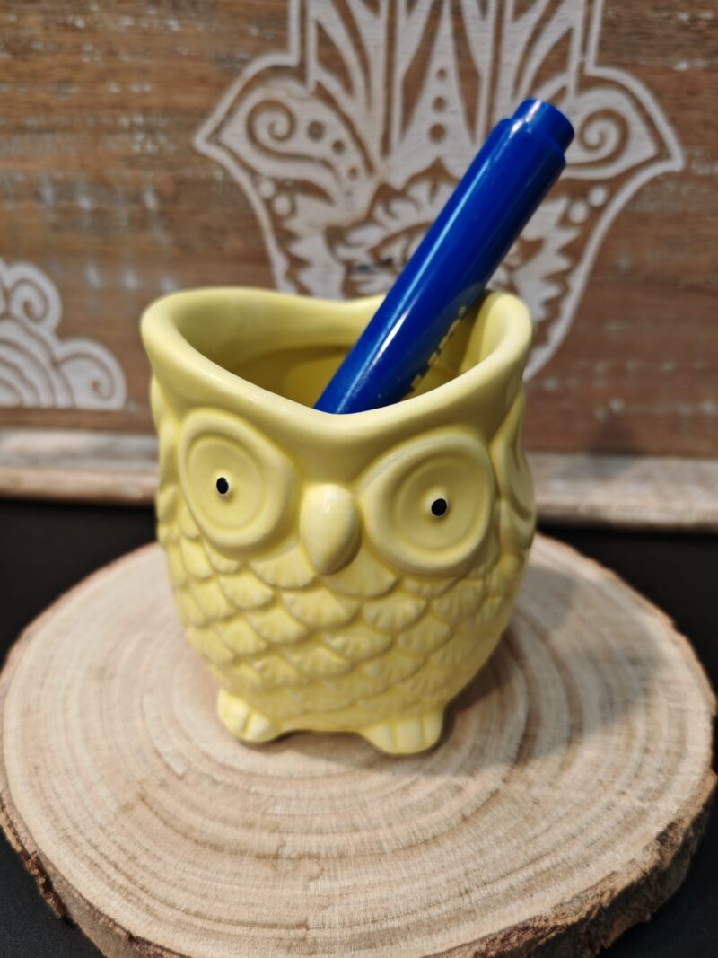 Macetero Búho Amarillo