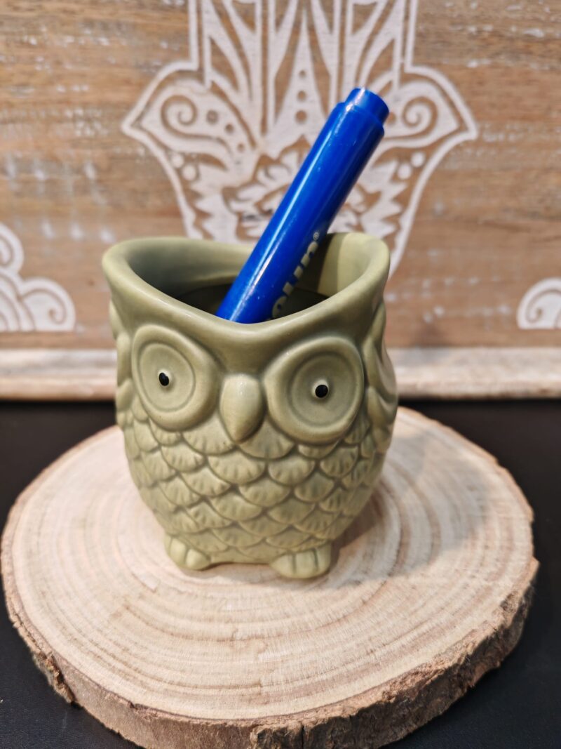 Macetero Búho Verde
