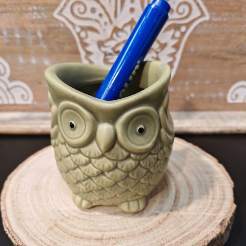 Macetero Búho Verde