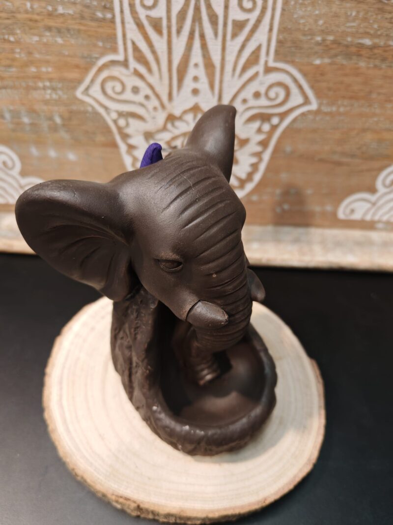 Fuente Reflujo Elefante - Imagen 2