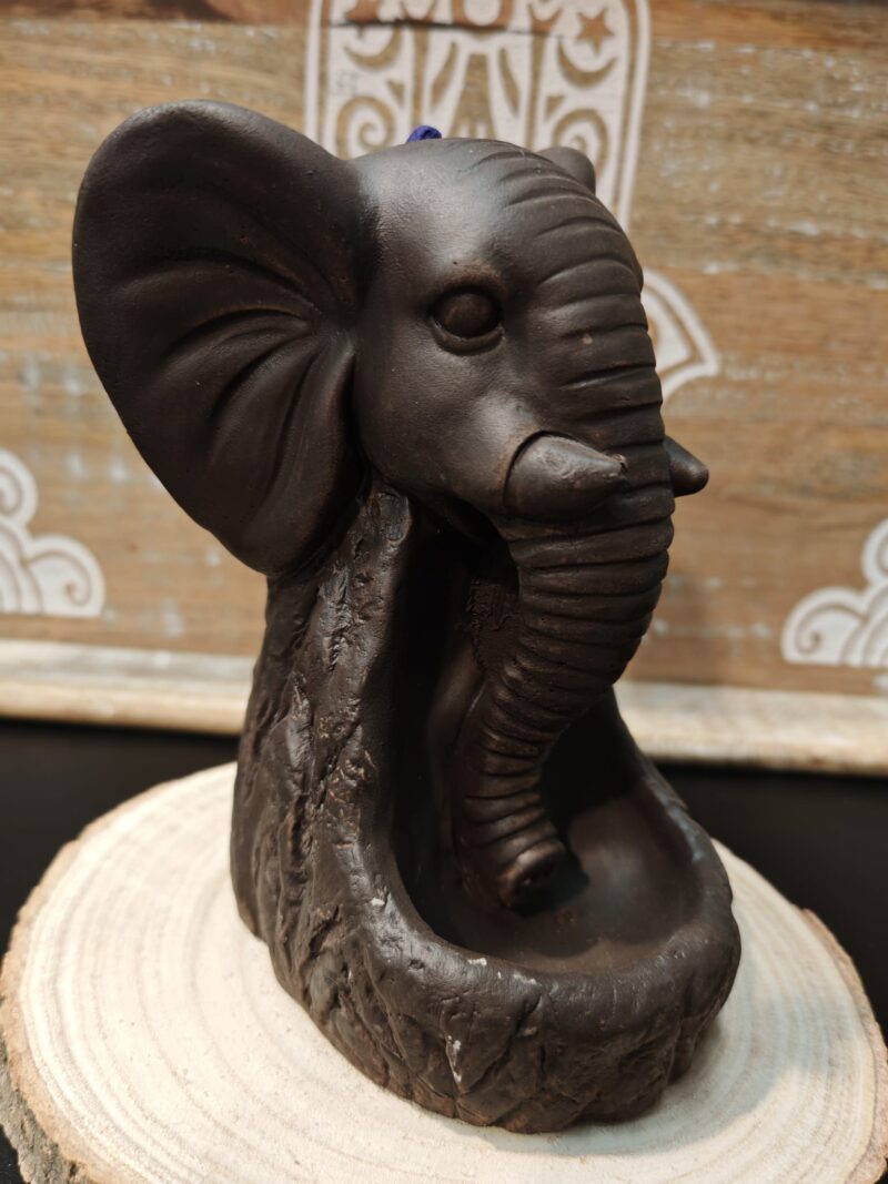 Fuente Reflujo Elefante