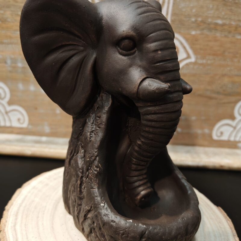 Fuente Reflujo Elefante
