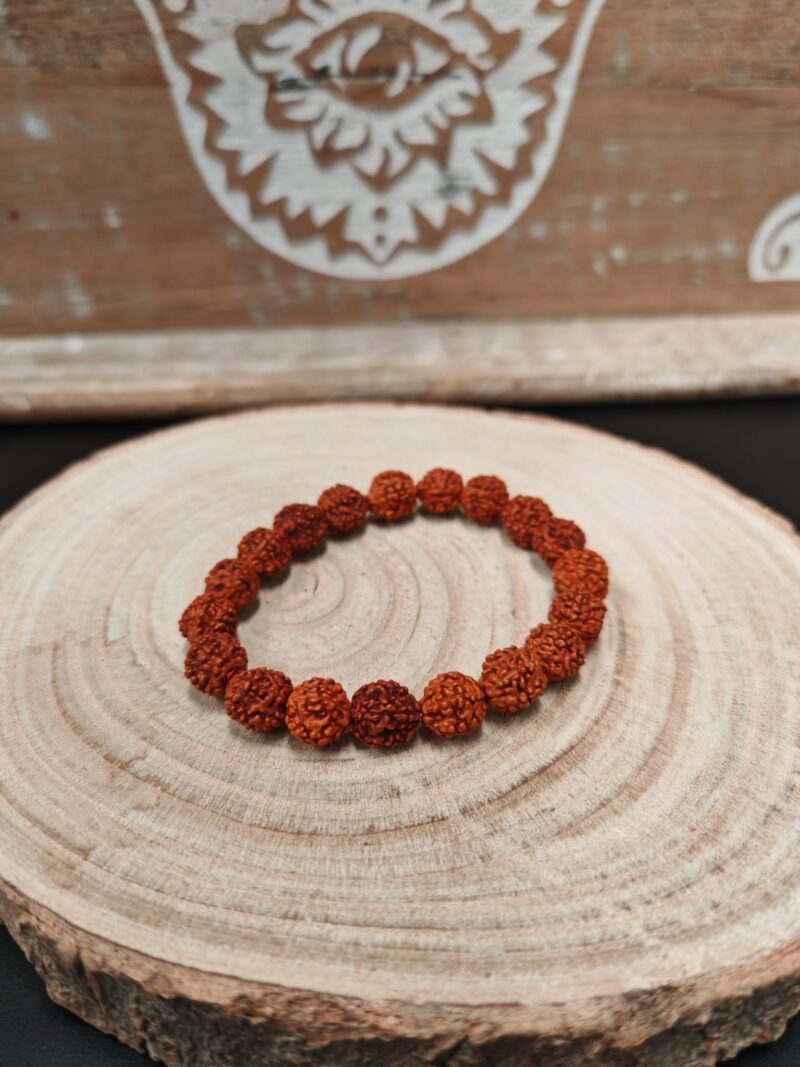 Pulsera Rudraksha 8mm