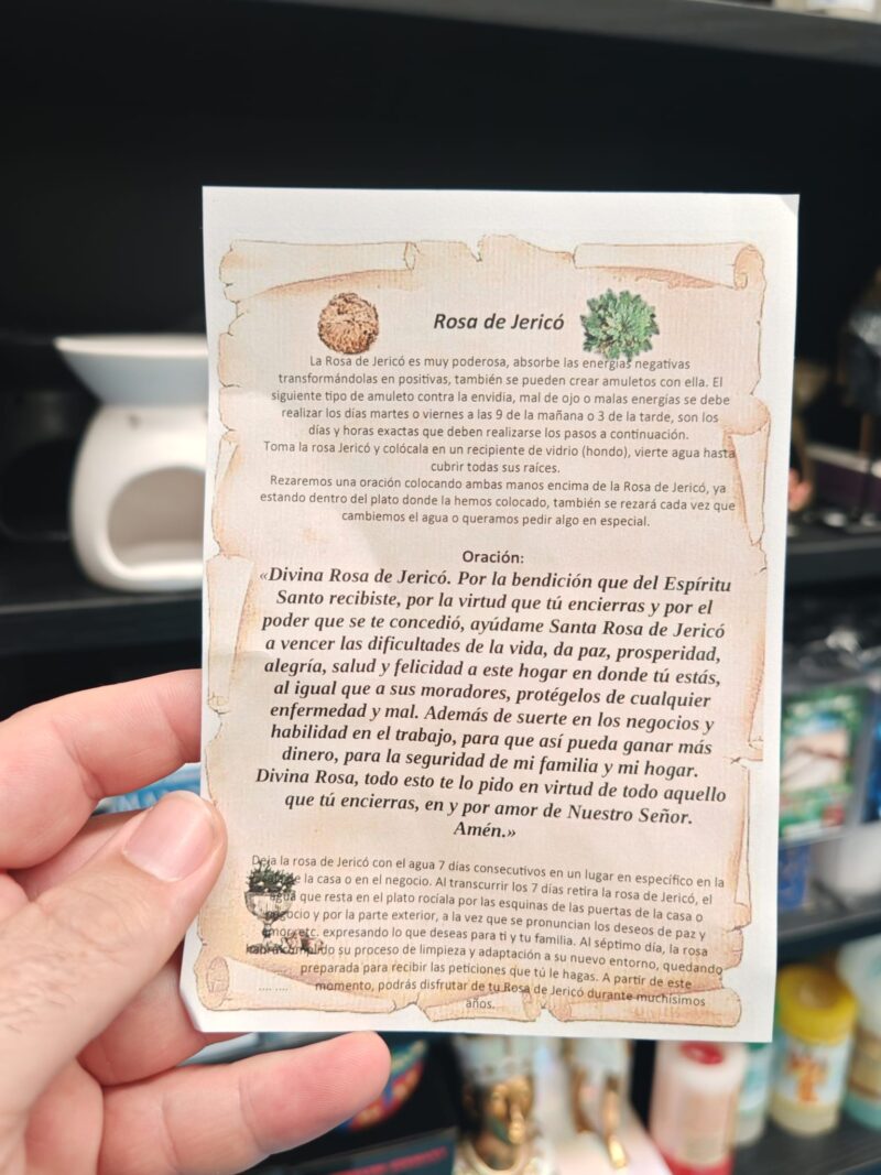 Rosa de Jericó - Imagen 2