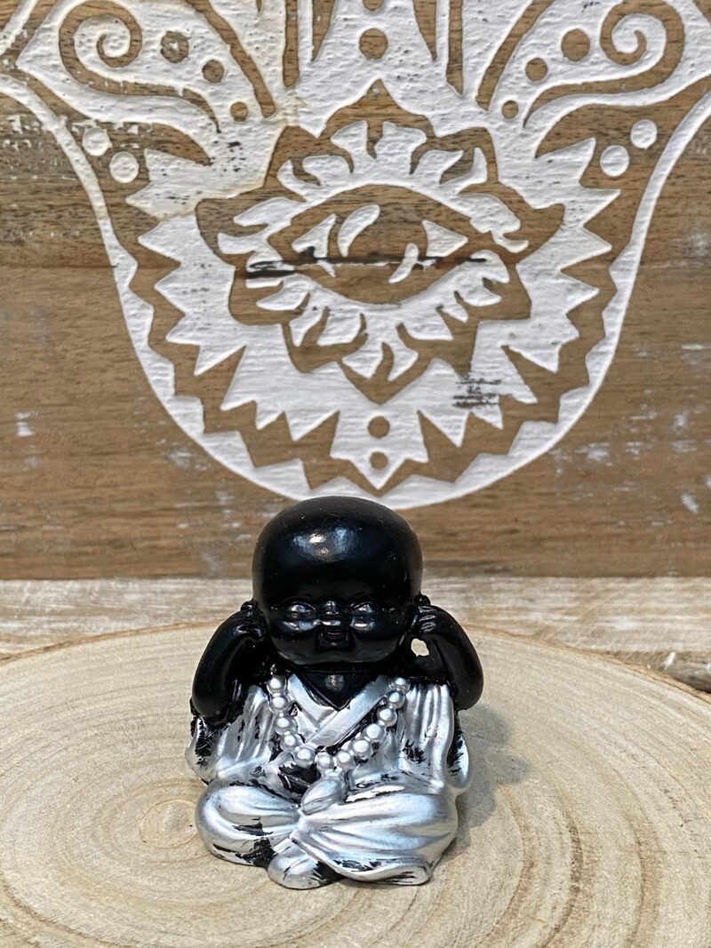 Mini Buda Plata