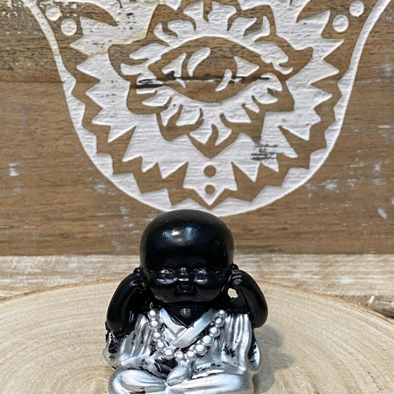 Mini Buda Plata