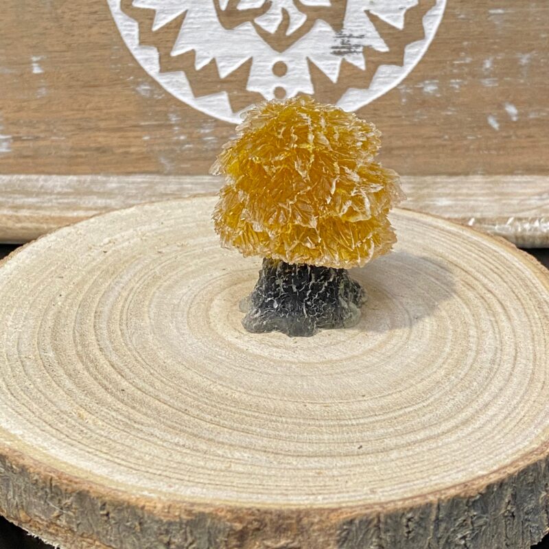 Arbolito de Orgonita Citrino con Tronco de Turmalina (5,5 cm)