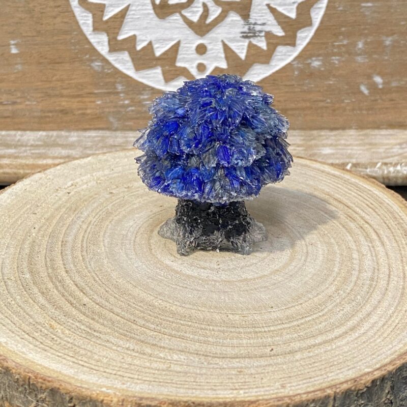 Arbolito de Orgonita Lapislázuli con Tronco de Turmalina (5,5 cm)