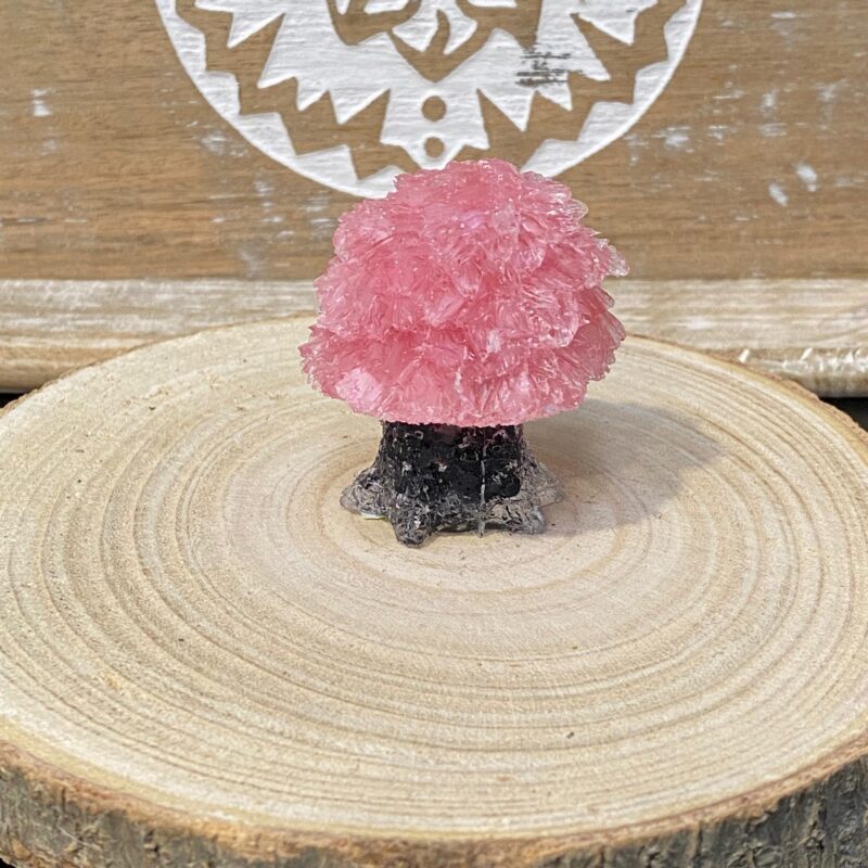 Árbol de Orgonita Cuarzo Rosa con Tronco de Turmalina (5,5 cm)
