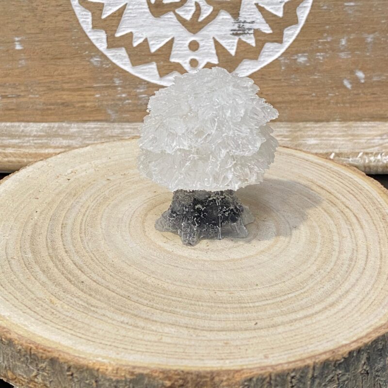 Árbol de Orgonita Cuarzo Blanco con Tronco de Turmalina (5,5 cm)