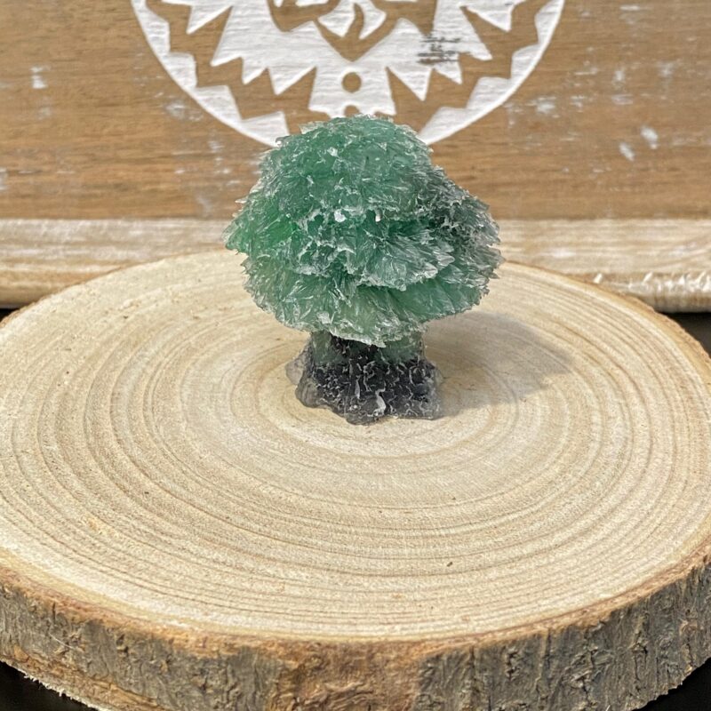 Arbolito de Orgonita Cuarzo Verde con Tronco de Turmalina (5,5 cm)