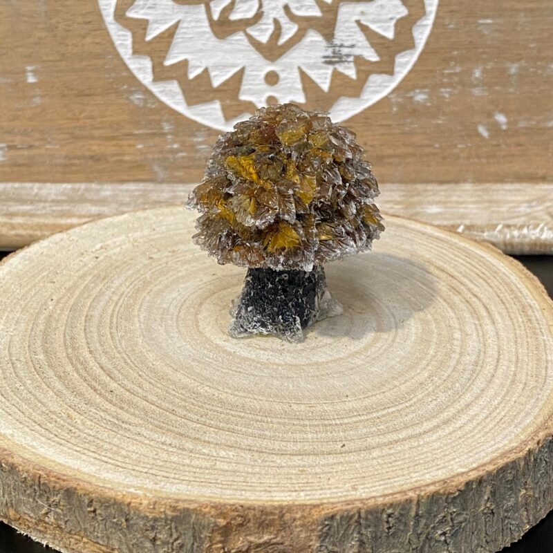 Arbolito de Orgonita Ojo de Tigre con Tronco de Turmalina (5,5 cm)