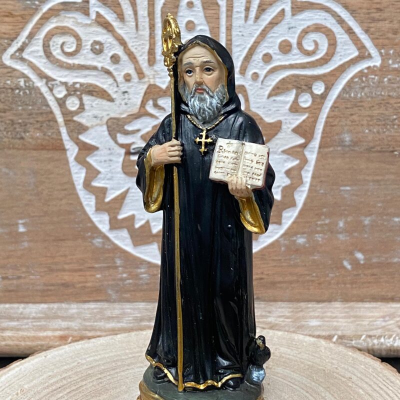 San Benito 12.5cm