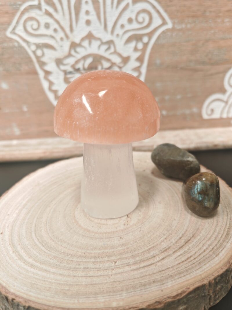 Seta Selenita Naranja/Blanca 8cm