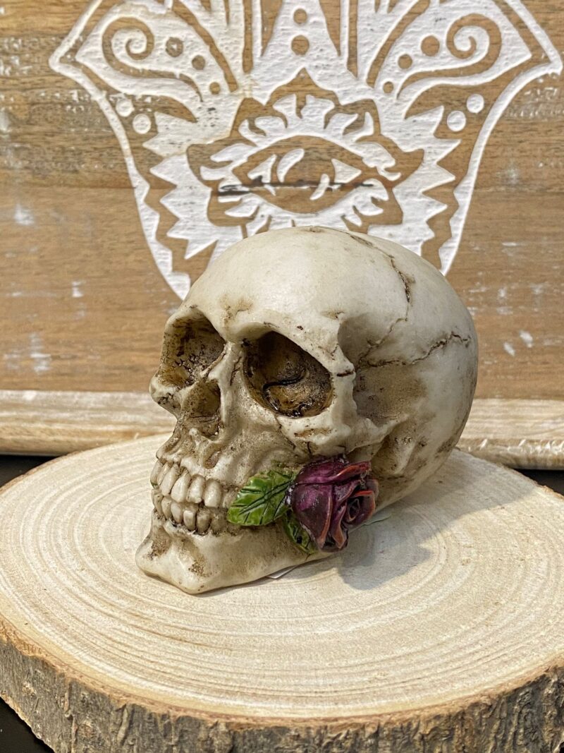 Calavera Pequeña Rosa