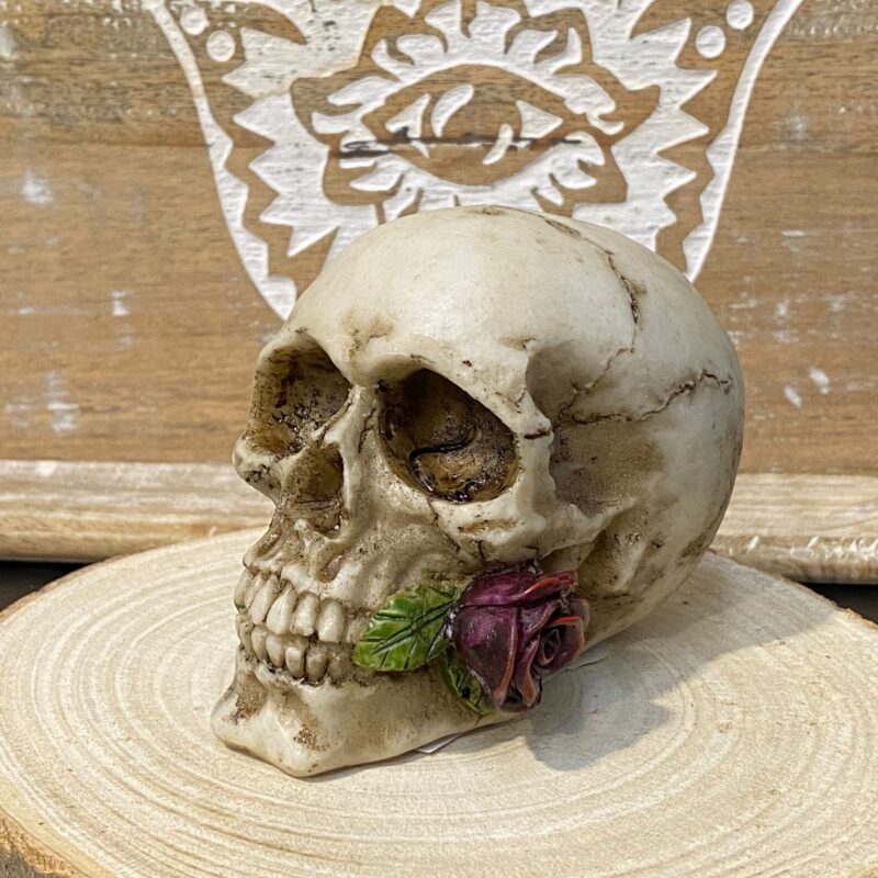 Calavera Pequeña Rosa