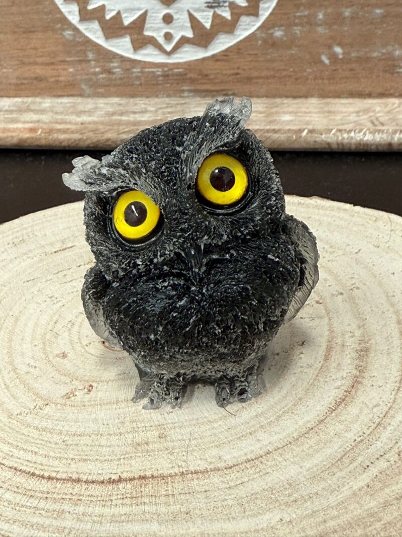 Búho de Orgonita Turmalina (6 cm) (Ojos Aleatorios)