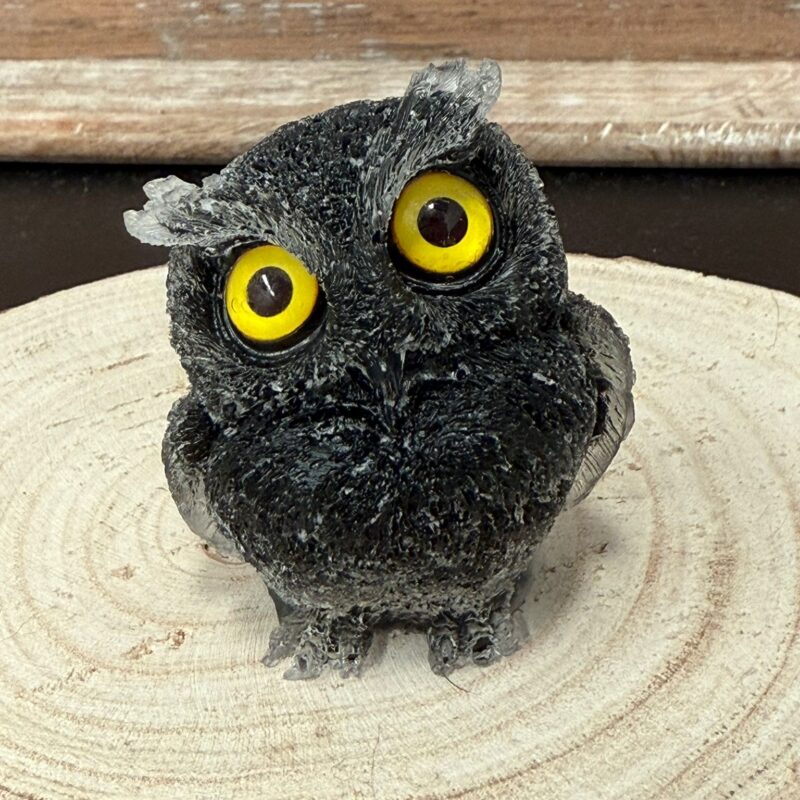 Búho de Orgonita Turmalina (6 cm) (Ojos Aleatorios)