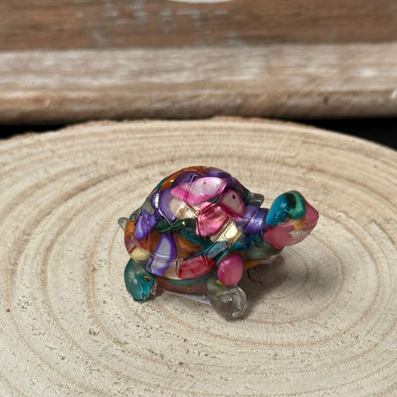 Tortuga Orgonita 7 Chackras