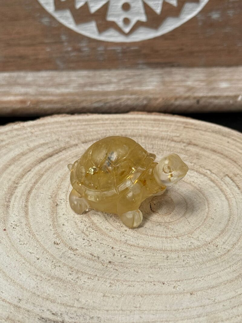 Tortuga Orgonita Citrino
