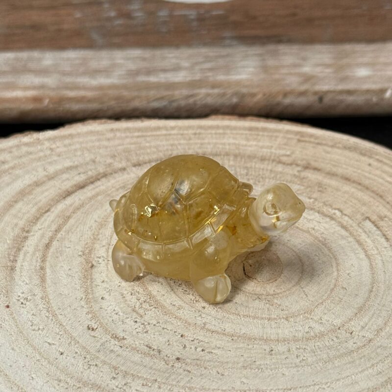 Tortuga Orgonita Citrino