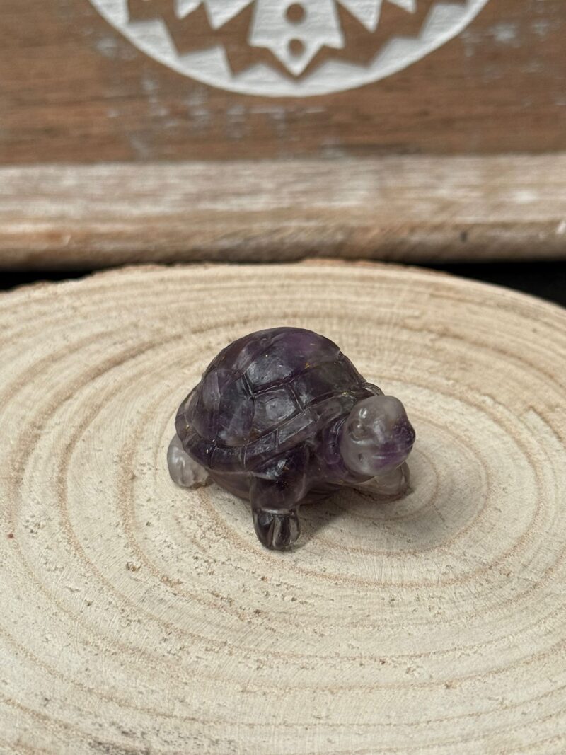Tortuga Orgonita Amatista