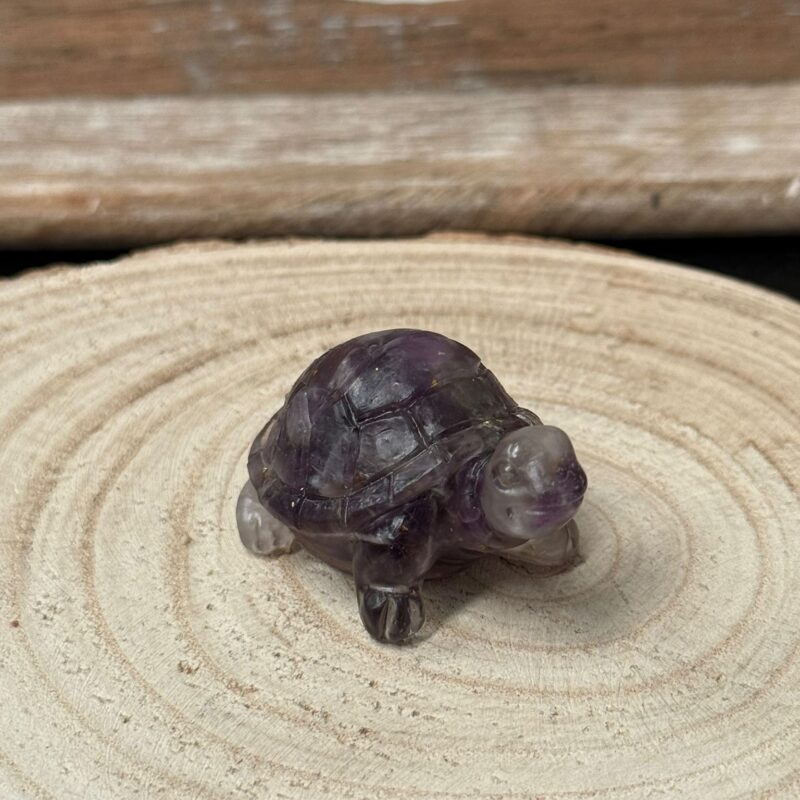 Tortuga Orgonita Amatista