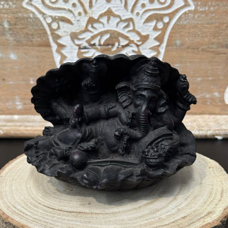 Ganesha Concha Negra