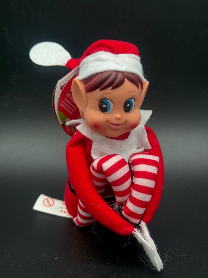 Elfo de Navidad