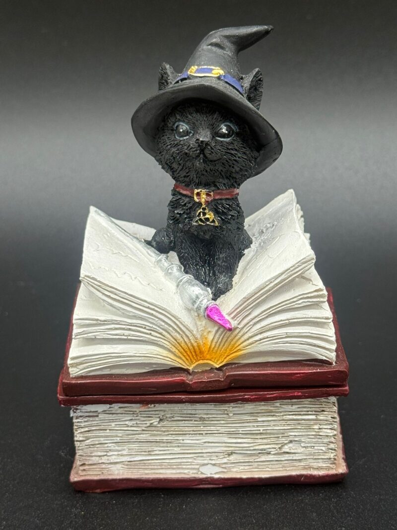 Figura Gato Brujo con Cajita
