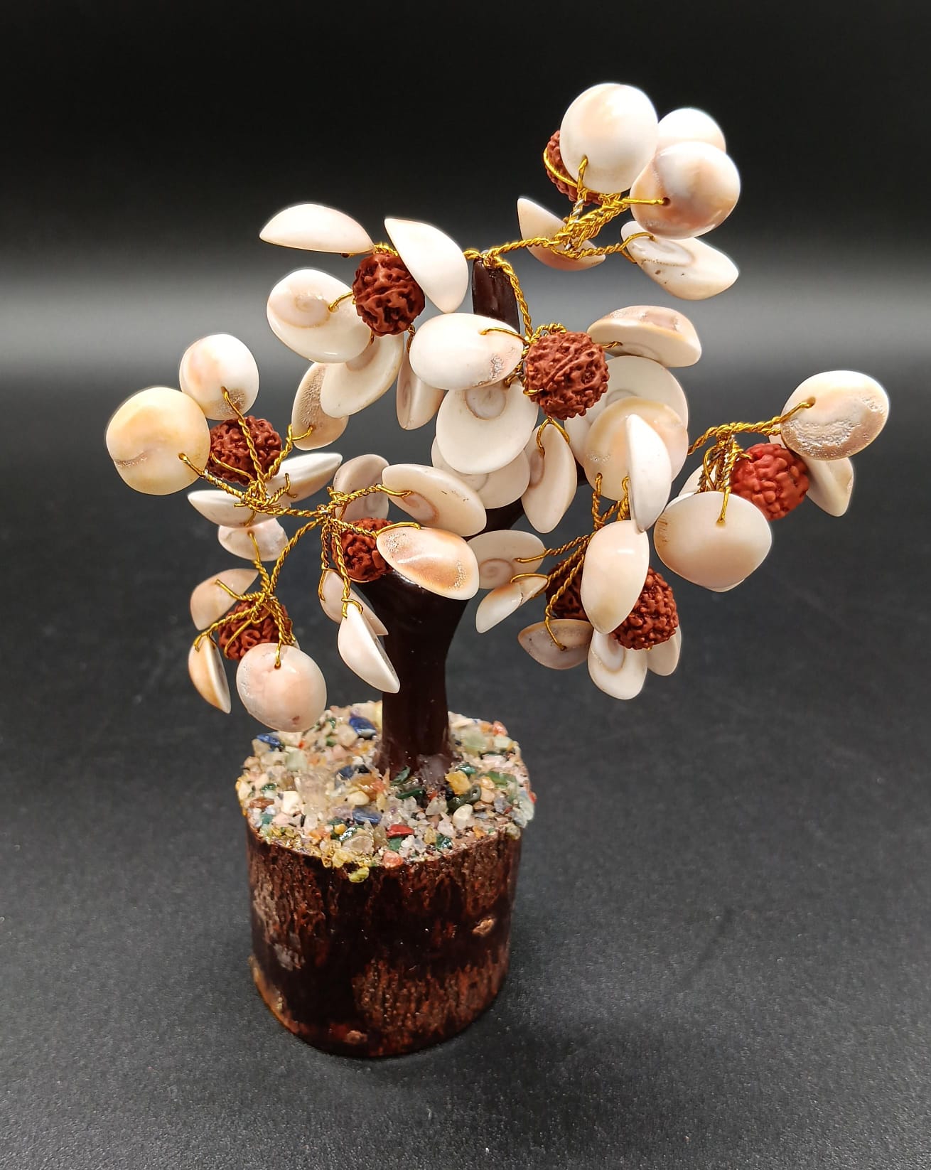 Arbolito Rudraksha y Caracolas