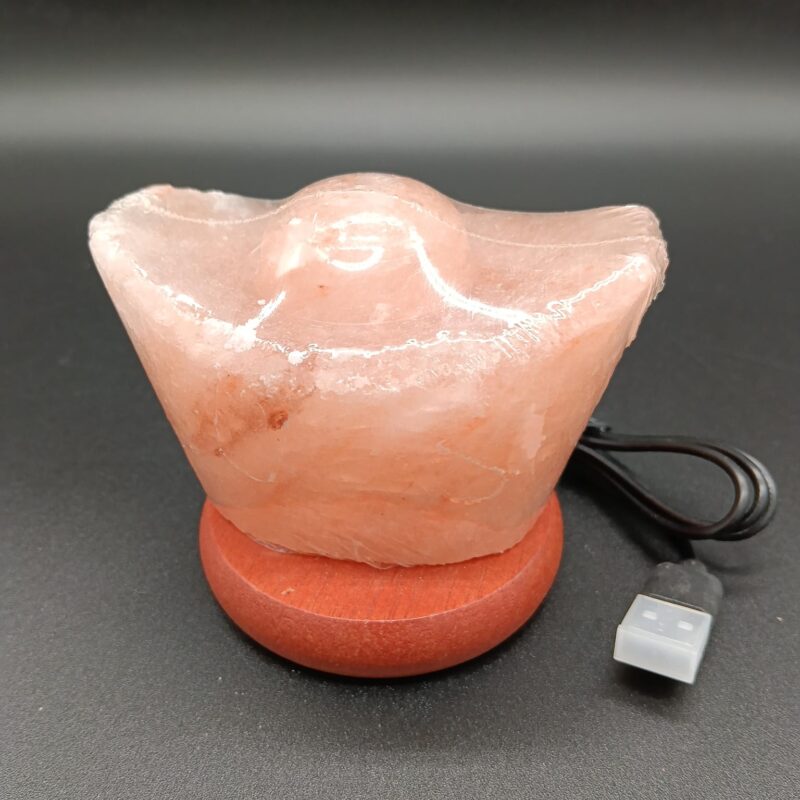 Lampara Pequeña Sal del Himalaya Lingote