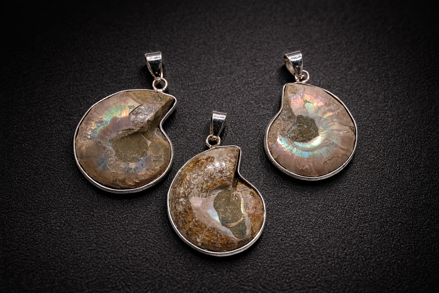 Colgante de Amonite - Imagen 2