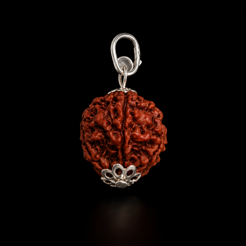 Colgante Semilla de Rudraksha